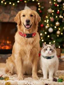 PETSIN 1PC Christmas Pet Collar, Festive Holiday Decor Accessory For Dogs - Multicolor - View 4