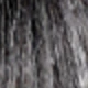 S1/Gray