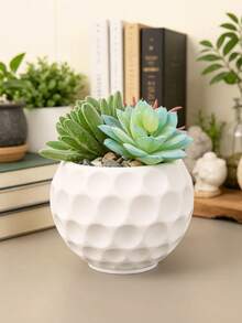1PC Standard Size Dotted Embossed Textured Succulent Planter Pot With Sturdy Non Slip Base Drainage Hole Lightweight Space Saving Versatile Use For Desktop Balcony Patio Indoor Outdoor Plant Display Home Office Living Room Bedroom Entryway Kitchen - A - View 4