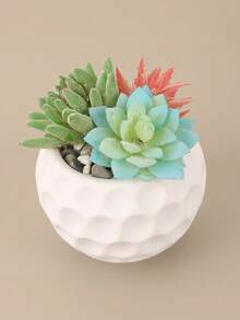 1PC Standard Size Dotted Embossed Textured Succulent Planter Pot With Sturdy Non Slip Base Drainage Hole Lightweight Space Saving Versatile Use For Desktop Balcony Patio Indoor Outdoor Plant Display Home Office Living Room Bedroom Entryway Kitchen - A - View 8