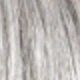 S1/Silver