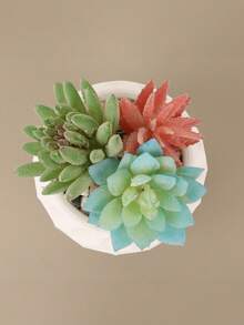 1PC Standard Size Dotted Embossed Textured Succulent Planter Pot With Sturdy Non Slip Base Drainage Hole Lightweight Space Saving Versatile Use For Desktop Balcony Patio Indoor Outdoor Plant Display Home Office Living Room Bedroom Entryway Kitchen - A - View 7