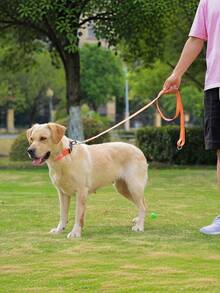Rubber Dog Collar With Quick Release Buckle Easy To Clean, Wear-Resistant & Sturdy, Suitable For Small, Medium And Large Dogs - Collar - View 5