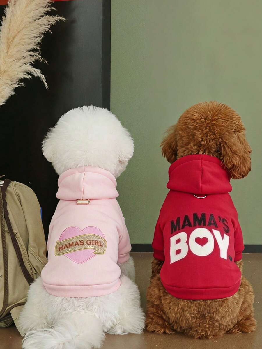 PETSIN 1pc Universal Pet Clothing For Cats And Dogs, Casual Comfort Embroidered Hooded Sweatshirt For Small Dogs, Everyday Pet Outfit - Multicolor - View 1