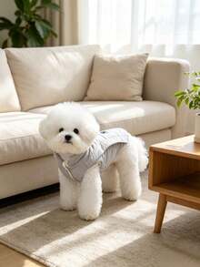 Pet Coat, Ideal Choice For Pet Lovers - C - View 9