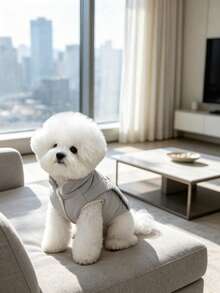 Pet Coat, Ideal Choice For Pet Lovers - C - View 2