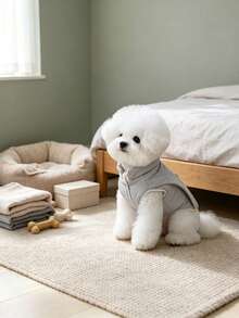 Pet Coat, Ideal Choice For Pet Lovers - C - View 10