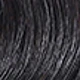 S1B