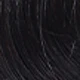 S1B