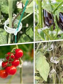 100pcs/200pcsPCS Plant Fixing Clips Tomato Clips, Vine Clips, Tomato Vines, Vegetable Plant Clips, Garden Plant Flower Tying Clips, To Keep Plants Growing Upright, Seedling Fixing Vine Clips, Suitable For All Seasons - White - View 3