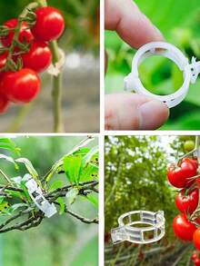 100pcs/200pcsPCS Plant Fixing Clips Tomato Clips, Vine Clips, Tomato Vines, Vegetable Plant Clips, Garden Plant Flower Tying Clips, To Keep Plants Growing Upright, Seedling Fixing Vine Clips, Suitable For All Seasons - White - View 2