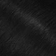 S1