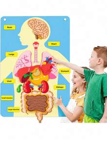 "Interactive Body Anatomy Learning Set: Colorful Felt Organs For Kids " - Multicolor - View 7