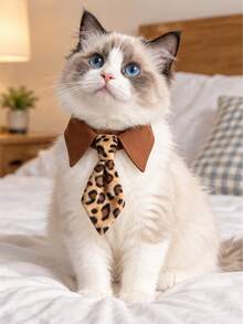 1pc Adjustable Denim Pet Tie, Cute Neck Scarf Collar For Small Dogs & Cats, Photo Prop Pet Accessory - Multicolor - View 10