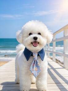 1pc Adjustable Denim Pet Tie, Cute Neck Scarf Collar For Small Dogs & Cats, Photo Prop Pet Accessory - Multicolor - View 13