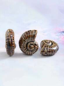 1Pc Vintage Kiln Glaze Conch Decor, Brown Conch Ornament, Unique Tabletop Decor For Home - multicolor - View 5
