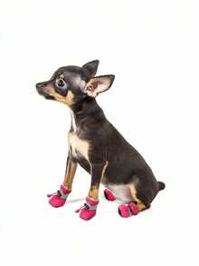 4PCS Set Waterproof Anti Slip Pet Dog Shoes Chihuahua Rain Boots For Small Dogs Puppies Outdoor Walking Supplies - Blue - View 5