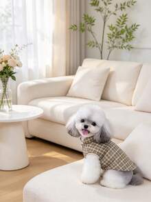 Pet Clothes, Ideal Choice For Pet Lovers - B - View 7