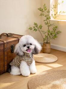 Pet Clothes, Ideal Choice For Pet Lovers - B - View 6