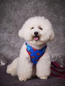SUPERMAN X PETSIN Pet Collar, Leash And Harness Set, Ideal Choice For Pet Lovers - Blue - View 8