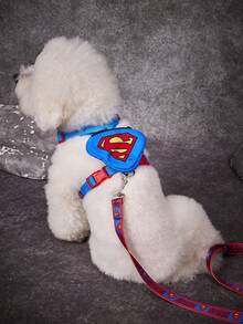 SUPERMAN X PETSIN Pet Collar, Leash And Harness Set, Ideal Choice For Pet Lovers - Blue - View 2