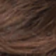 S4