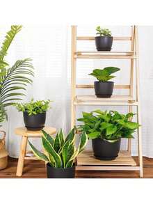 5件組塑膠植栽盆套組，包含5組不同尺寸的現代風塑膠花盆，每盆附排水孔與托盤，適用於多肉植物、龍舌蘭、堇菜等室內外盆栽植物 - 黑色 - 查看 4