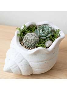 Drainage Hole Breathable Anti Overflow Cute Conch Shaped Flower Pot Indoor Green Plant Container For Office Desktop Home Decor Planting Supplies - conch - View 5