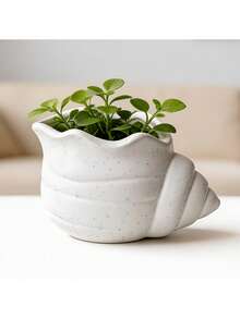 Drainage Hole Breathable Anti Overflow Cute Conch Shaped Flower Pot Indoor Green Plant Container For Office Desktop Home Decor Planting Supplies - conch - View 4