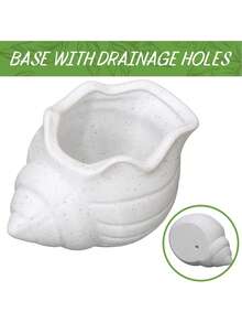 Drainage Hole Breathable Anti Overflow Cute Conch Shaped Flower Pot Indoor Green Plant Container For Office Desktop Home Decor Planting Supplies - conch - View 2