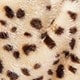 leopard print