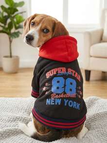 PETSIN Artist Retro Street Red & Black Colorblock Pet Print Sweatshirt 1pc, Holiday - Multicolor - View 1