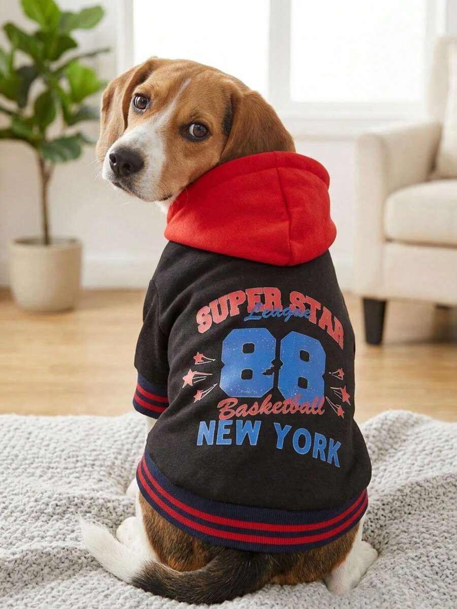 PETSIN Artist Retro Street Red & Black Colorblock Pet Print Sweatshirt 1pc, Holiday - Multicolor - View 1