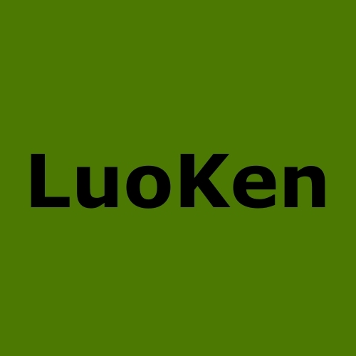 LUOKEN Slippers