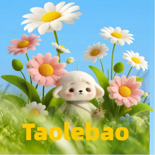 Taolebao   finding fun toys