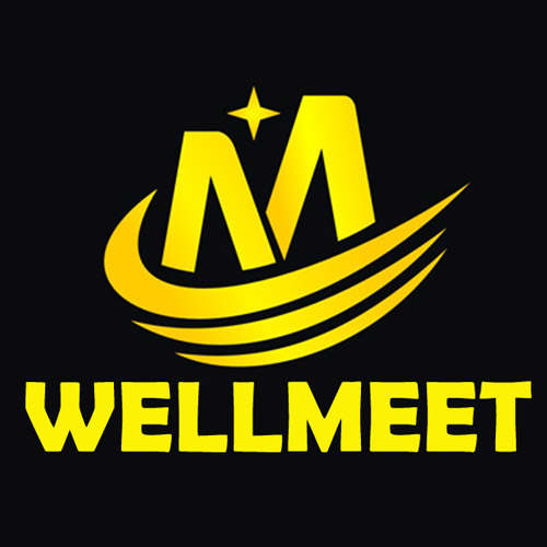 Wellmeet Manufacturing Company Limited