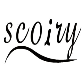 scoiry Diverse accessories Store