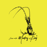 MonkeyKing