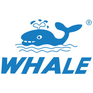 whale outdoor sport