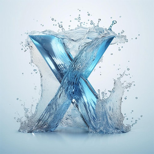 A Part of XX