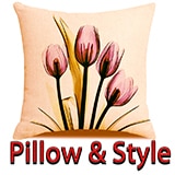 Pillow & Style