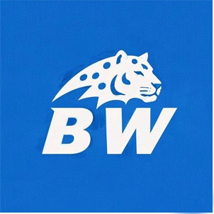 BW HOME