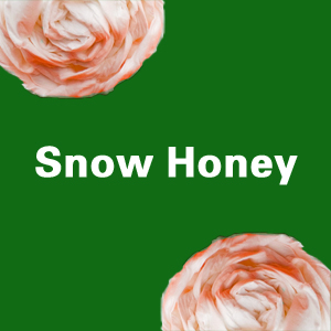 Snow Honey