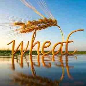 wheats