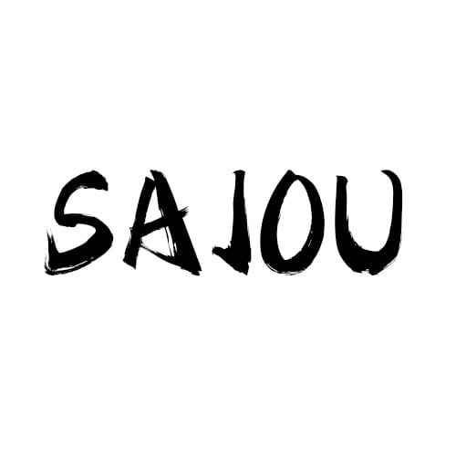 SAIOU Quality Shoe Accessories Store