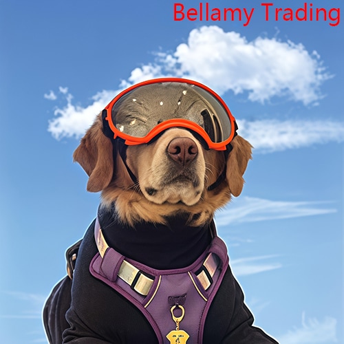 Bellamy Trading