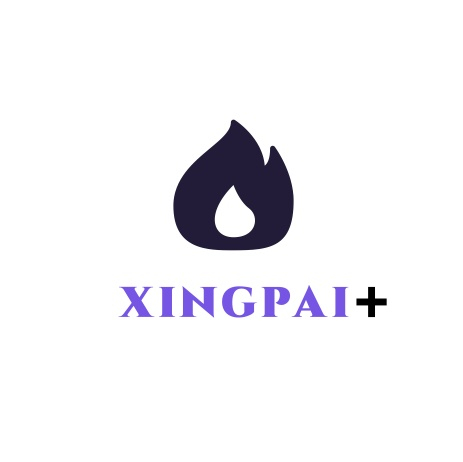 XINGPAI+