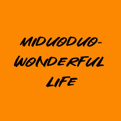 Miduoduo-Wonderful Life