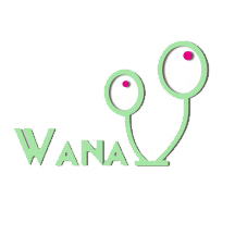 Wana party decorations