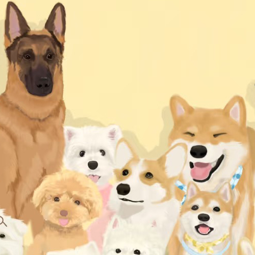 Xinge Pet Supplies